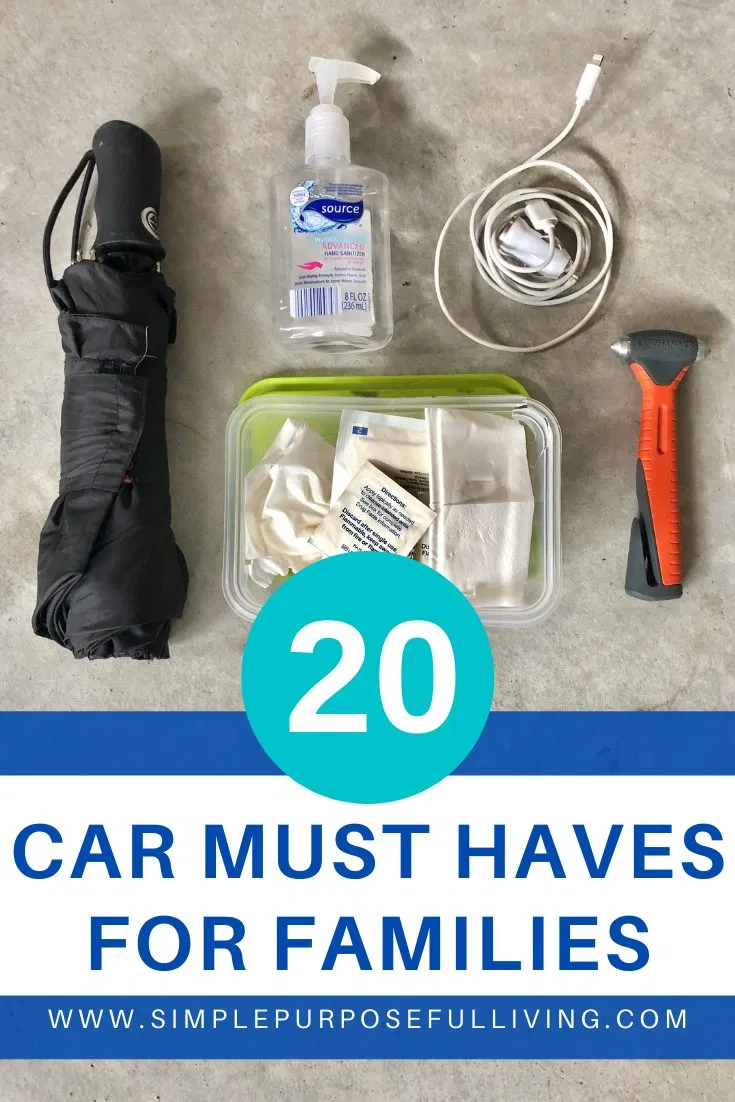 20 Must Have Car Accessories for your Family Vehicle ...