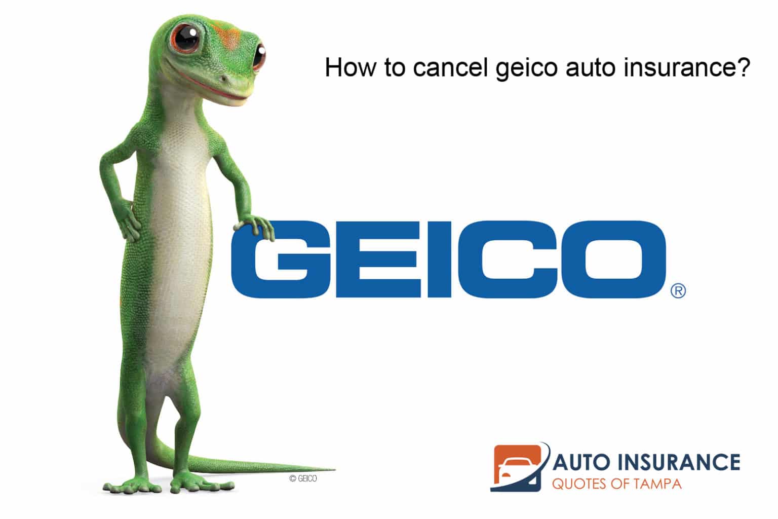 Cancel Geico Car Insurance