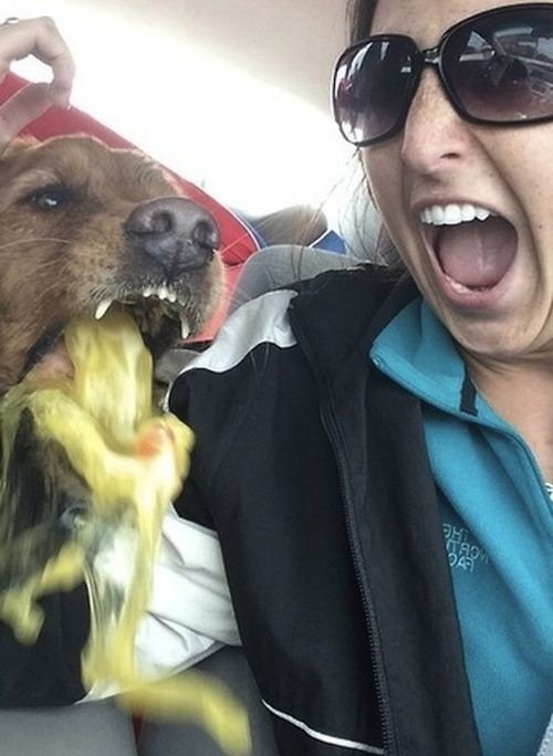 Dog Puke Selfie. Sick Green Barf Gross!