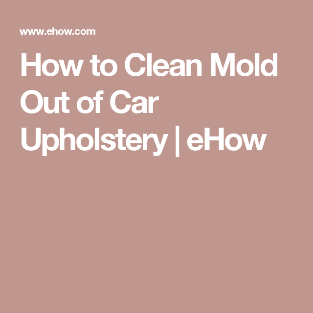 How to Clean Mold Out of Car Upholstery