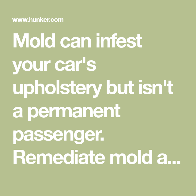 How to Clean Mold Out of Car Upholstery