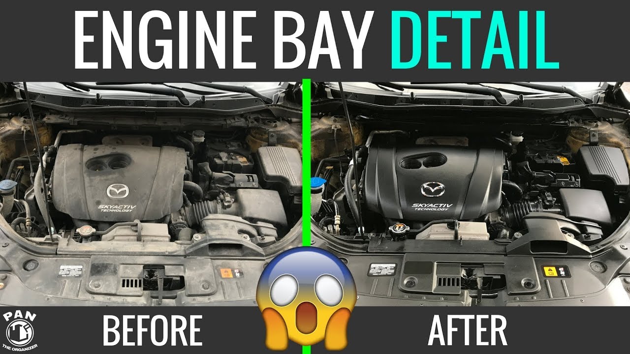 HOW TO CLEAN YOUR ENGINE BAY !!! EASY TUTORIAL !