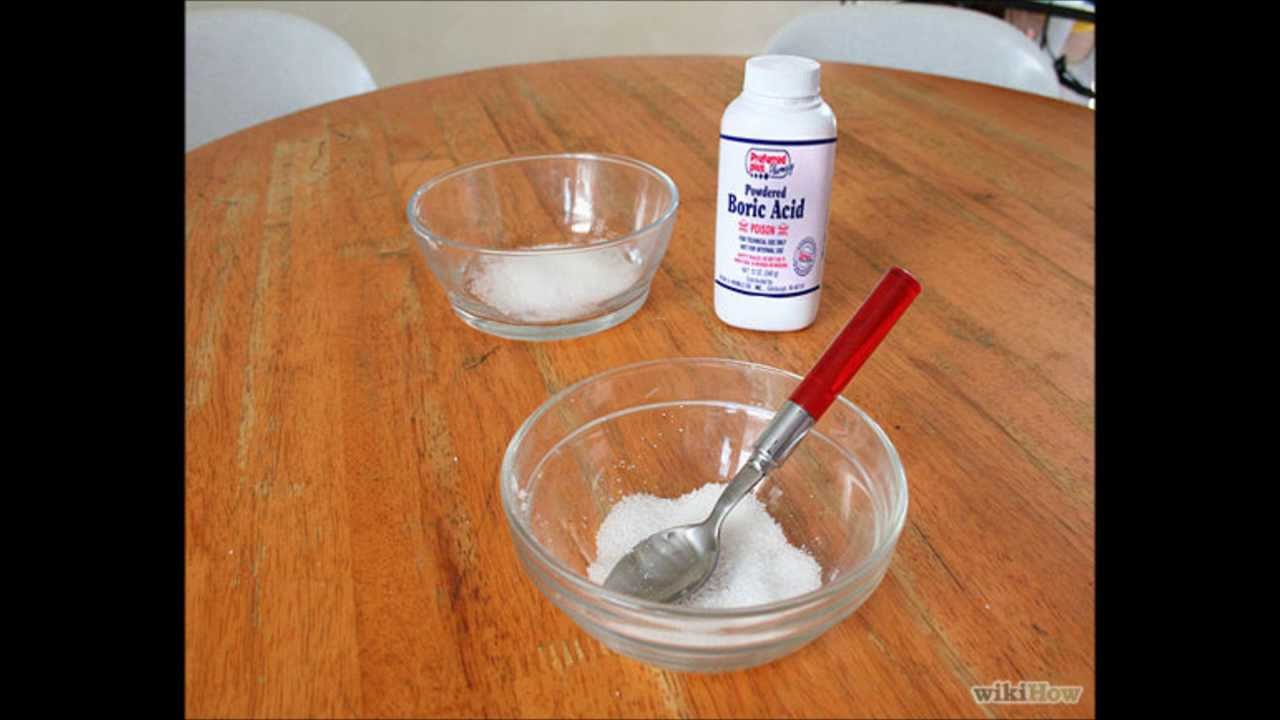 how to get rid of ants : how to get rid of ants in kitchen ...