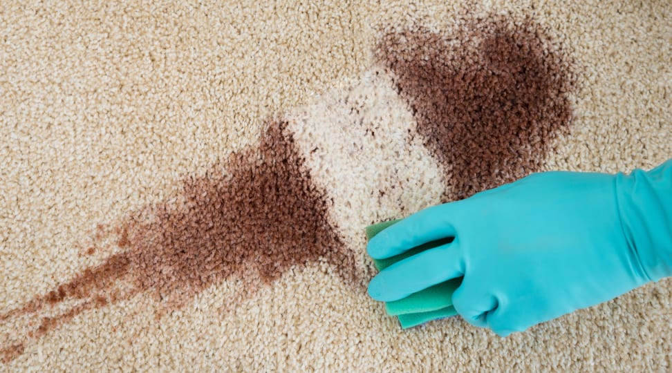 How to get the worst stains out of your carpet