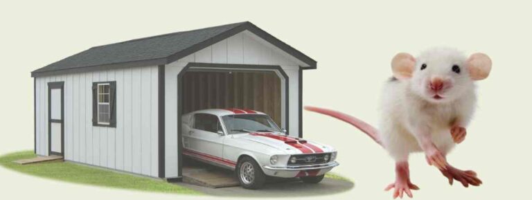 How to Keep Mice Out of Garage and Car