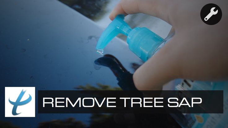 How To Quickly Remove Tree Sap From Car