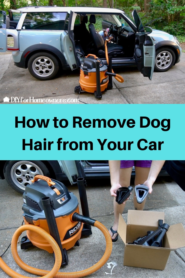 How to Remove Pet Hair from Car Seats