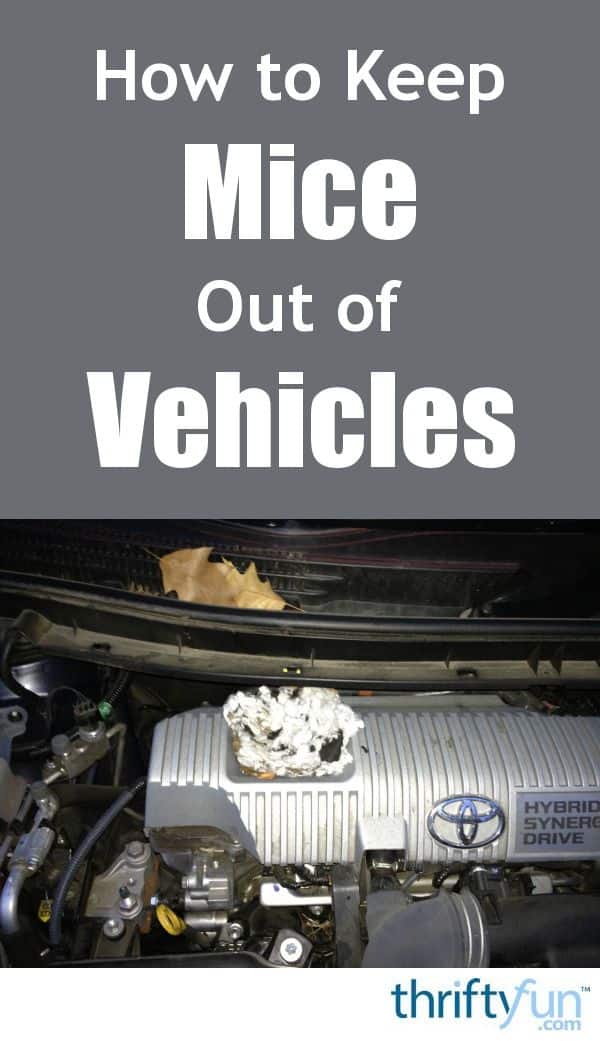 Keeping Mice Out of Vehicles