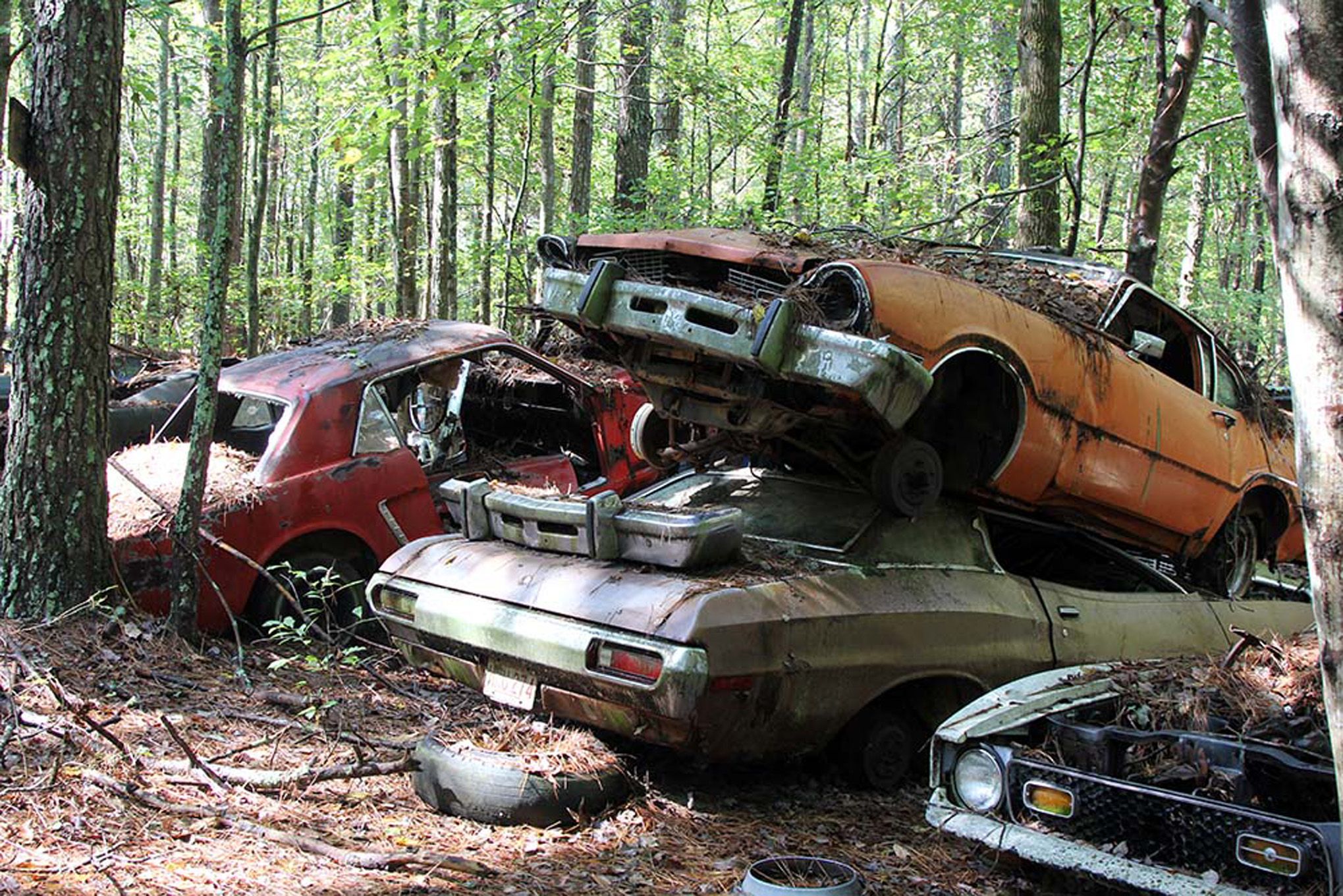 Old Car City U.S.A. is Full of Abandoned Muscle Cars and ...