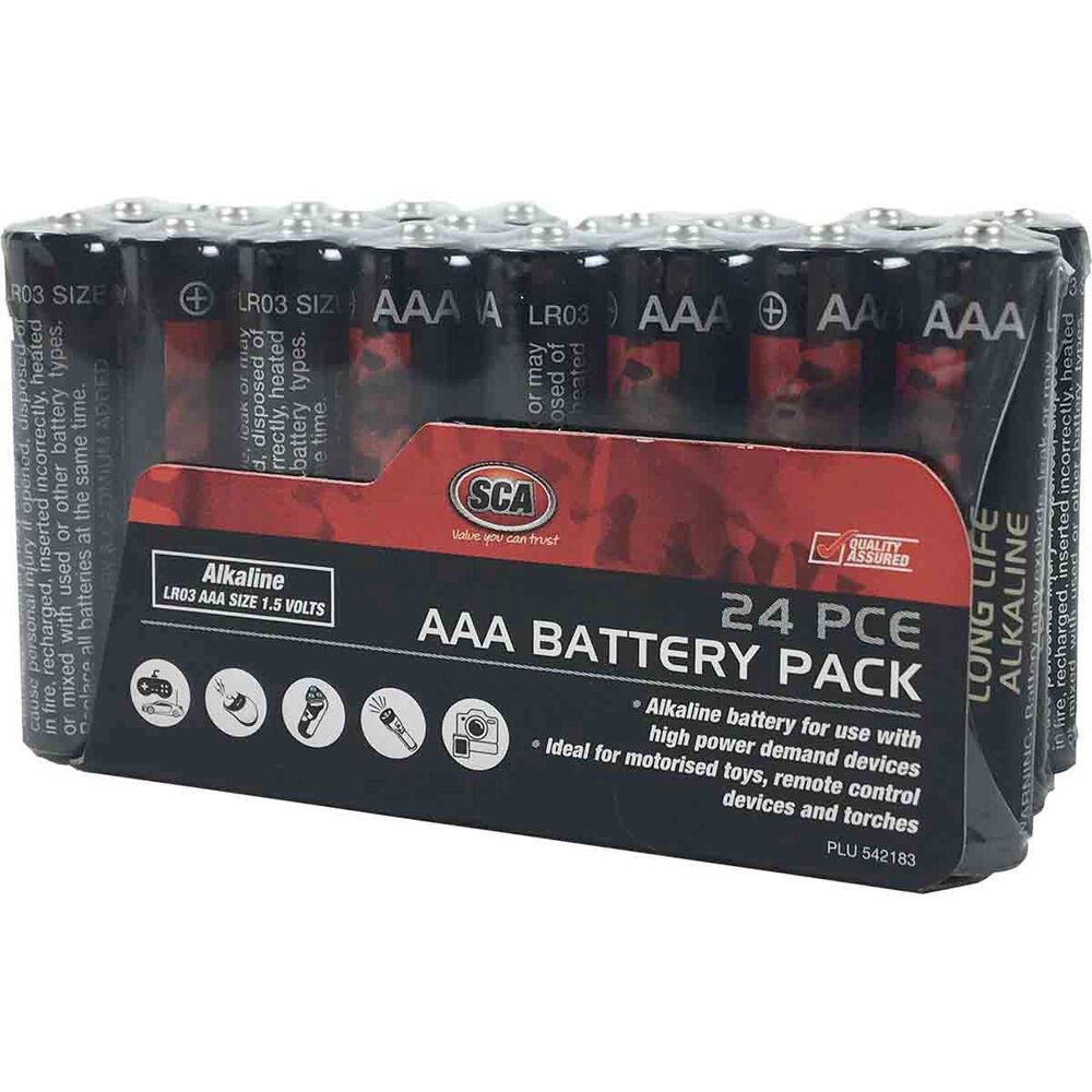 SCA Heavy Duty Alkaline AAA Batteries
