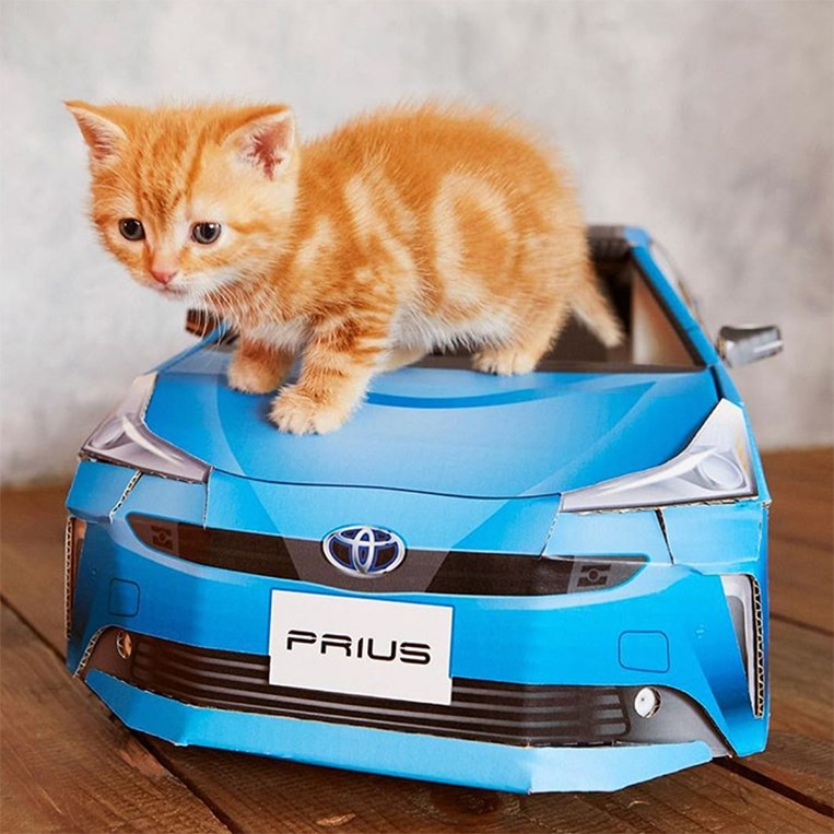This cat playing with a cardboard Toyota Prius will calm you