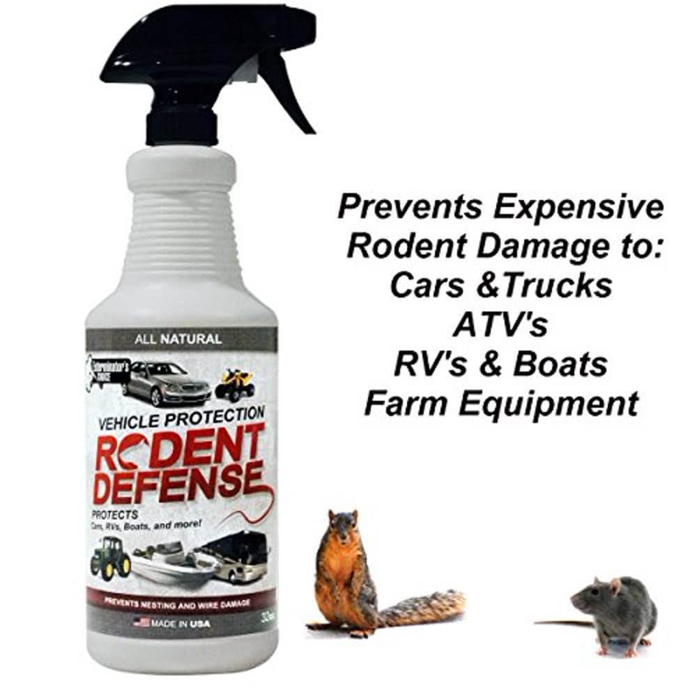 Vehicle Protection by Exterminators Choice