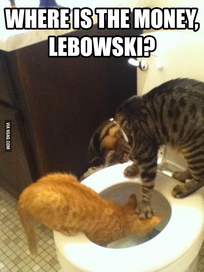 Where is the money, Lebowski?