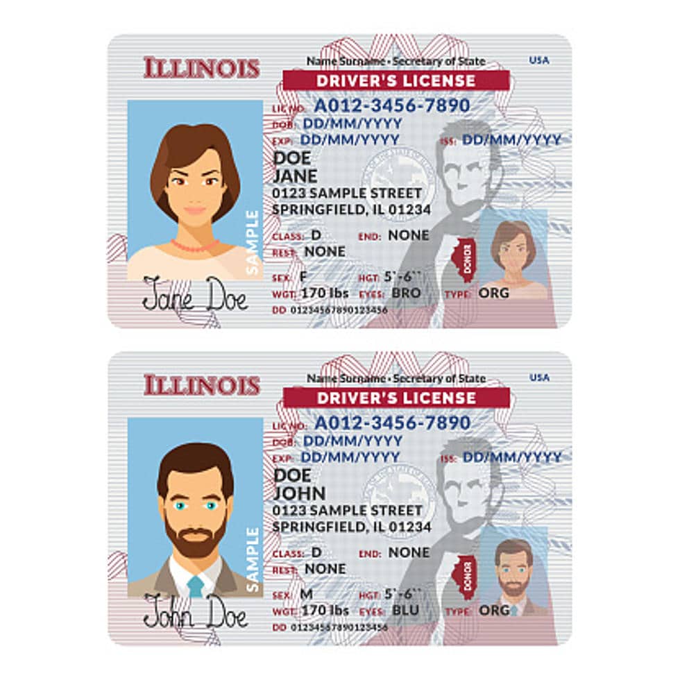 Who Can Be In The Car With A Permit Driver In Illinois : Illinois ...